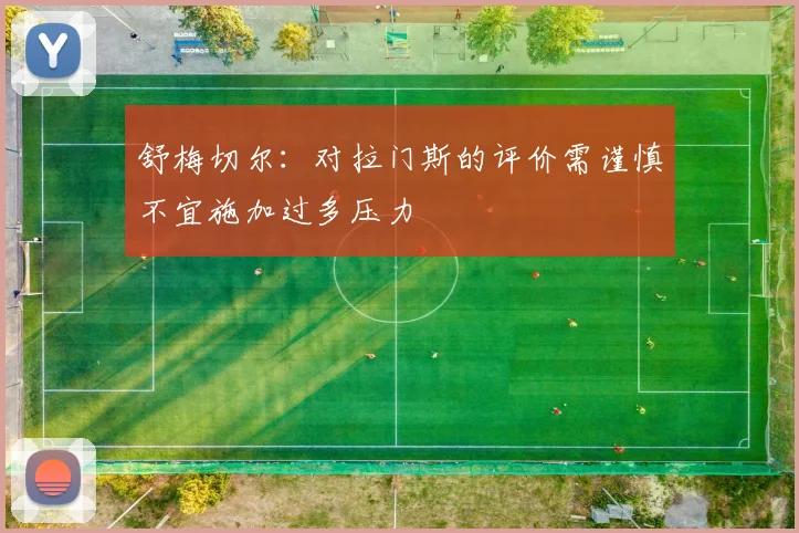 舒梅切尔：对拉门斯的评价需谨慎不宜施加过多压力