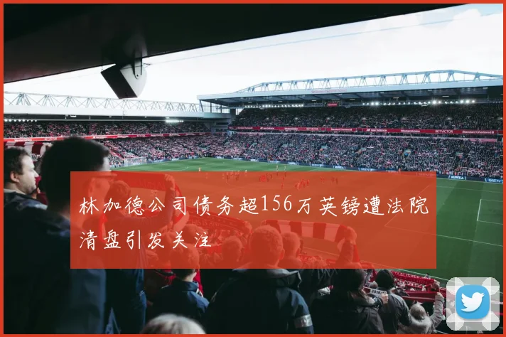 林加德公司债务超156万英镑遭法院清盘引发关注