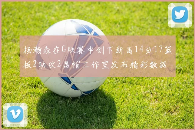 杨瀚森在G联赛中创下新高14分17篮板2助攻2盖帽工作室发布精彩数据海报