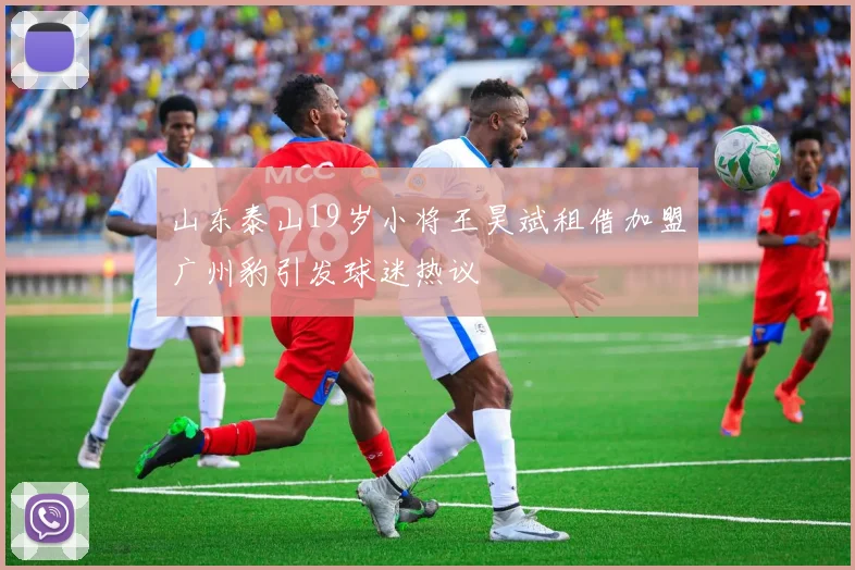 山东泰山19岁小将王昊斌租借加盟广州豹引发球迷热议