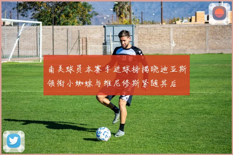 南美球员本赛季进球榜揭晓迪亚斯领衔小蜘蛛与维尼修斯紧随其后