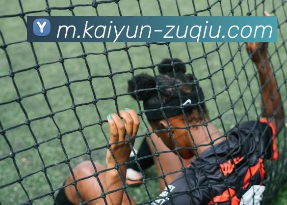 开云足球APP 高清赛事图